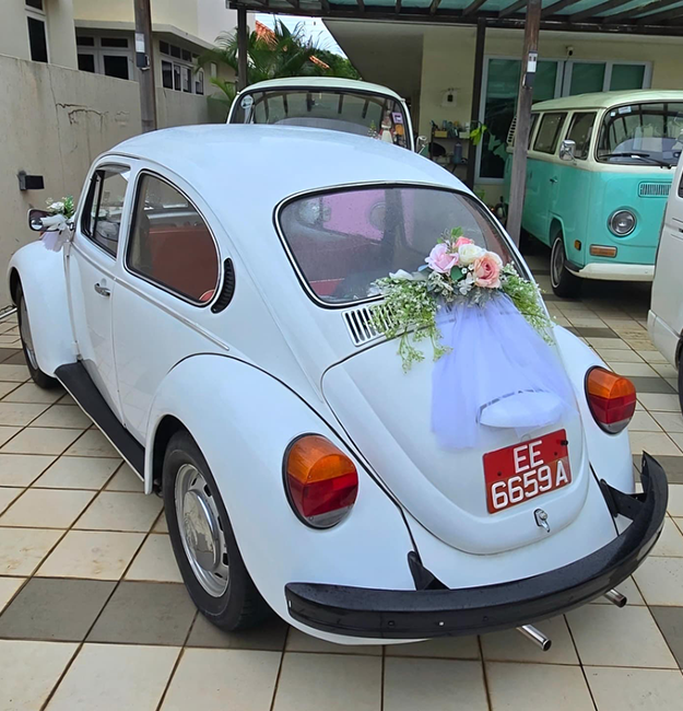 2-seater-volkswagen-beetle-car-snowy