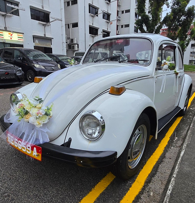 volkswagen-beetle-car-snowy-the-pure-bridal-beetle