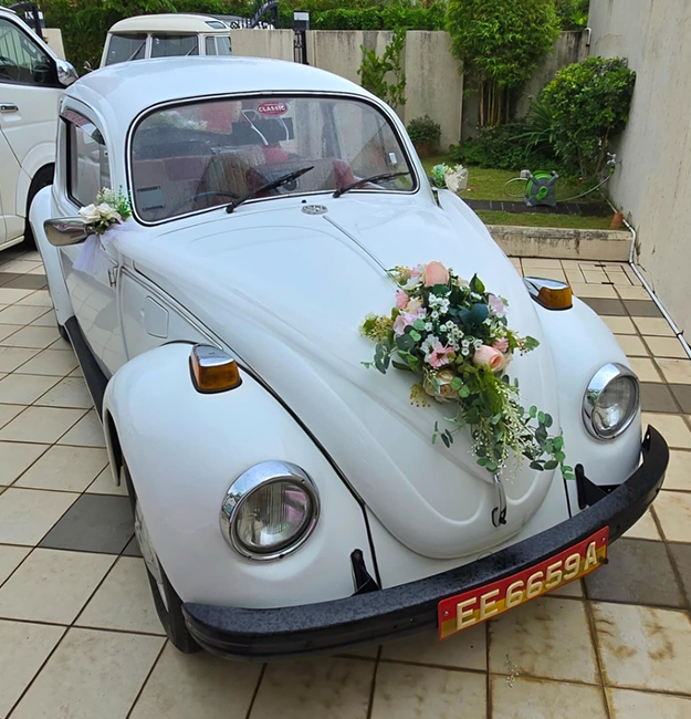 volkswagen-beetle-car-snowy